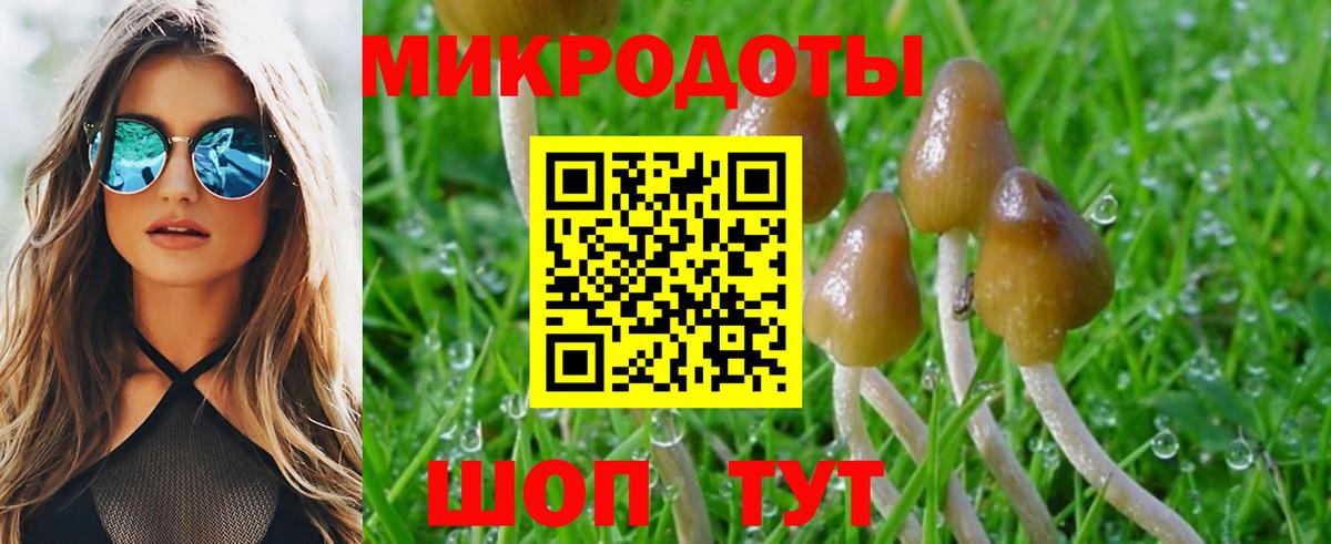 Галлюциногенные грибы Magic Shrooms  купить наркоту  Костомукша  Вход с VPN 